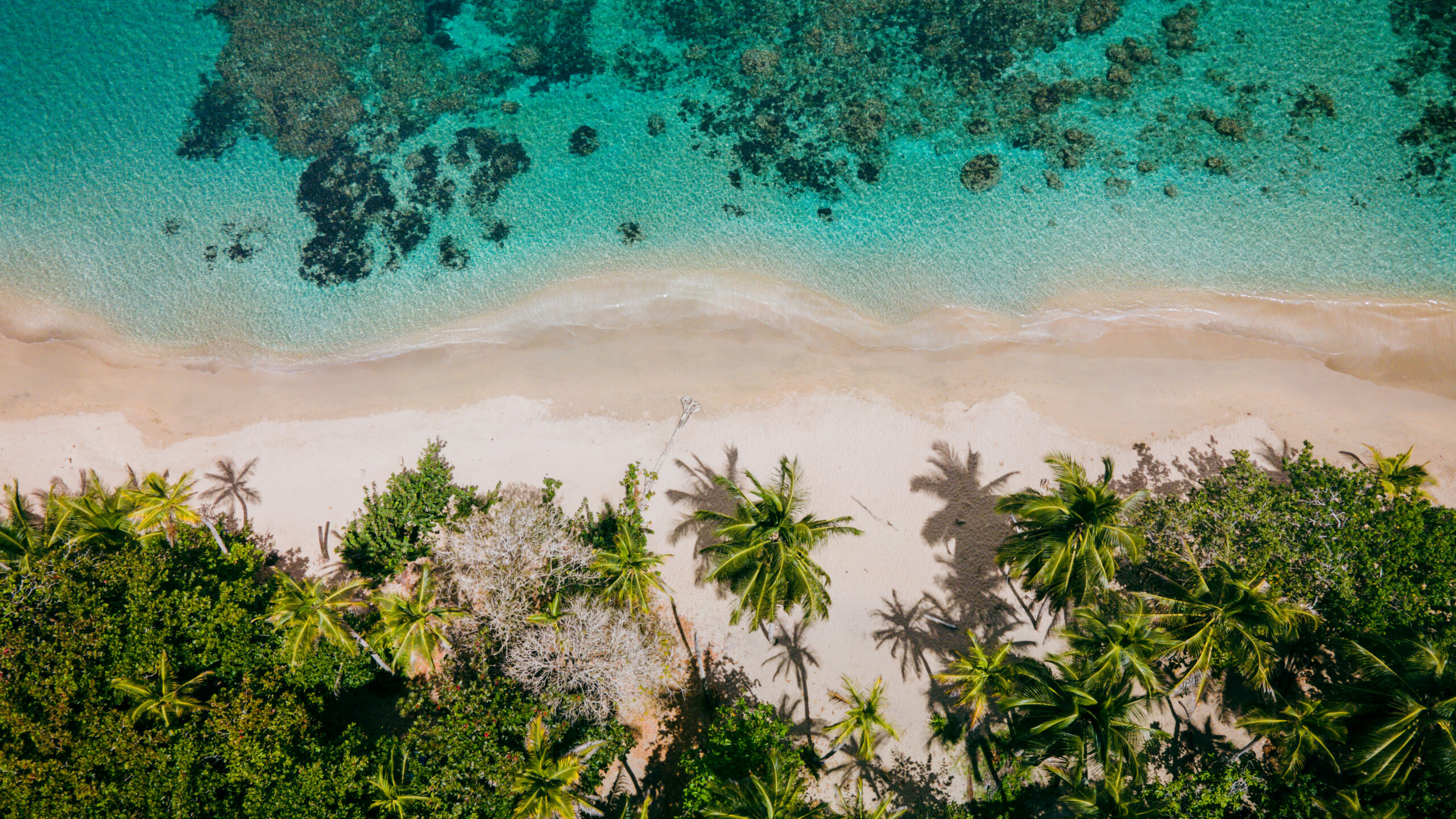 Playa Arecife, Punta Uva, Costa Rica