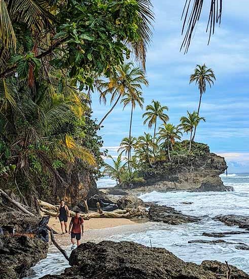 Hiking tour to Punta Mona