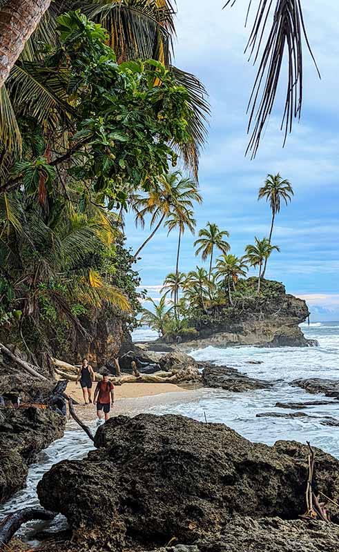 Hiking tour to Punta Mona