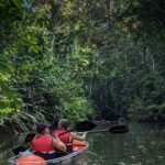 Clear kayak tour. Puerto Viejo