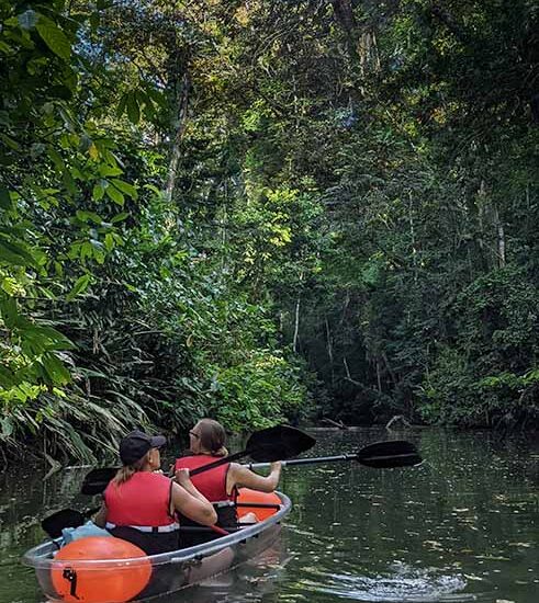 Clear kayak tour. Puerto Viejo