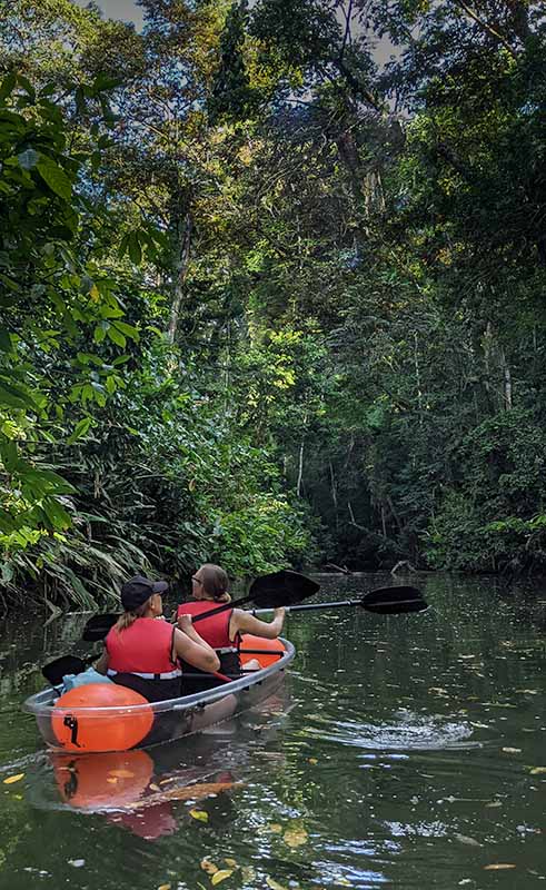 Clear kayak tour. Puerto Viejo